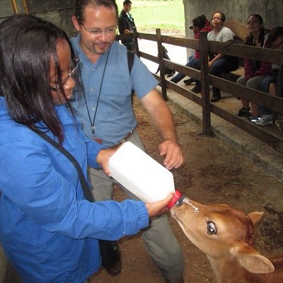 Profile Picture of Bianca Robinson (@bcrob4) on Twitter