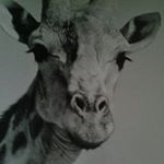 Profile Picture of jacob martz (@animalboy1234) on Instagram
