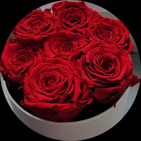 Profile Picture of Jane Atallah (@holly_madison73) on Poshmark