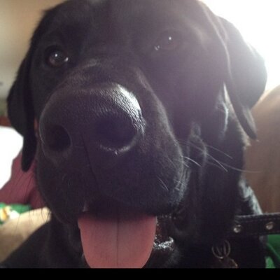 Matt Eberhardt - Twitter Profile Picture of Matt Eberhardt (@eber_mj) on Twitter