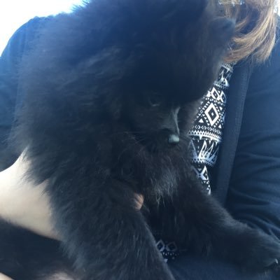 Profile Picture of Mike Durman (@MikeDurman13) on Twitter