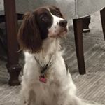 Profile Picture of Jeanne Tuttle (@jeannectut) on Instagram