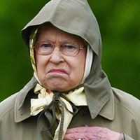 Profile Picture of Amanda Joy Zurawski (@amanda-joy-zurawski) on Quora