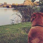 Profile Picture of Jason Grzybowski (@asg_tox) on Instagram