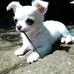 Profile Picture of Tequila Homer (@tequila.homer) on Facebook