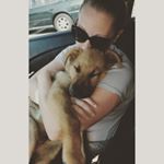 Profile Picture of Jennifer Mclaughlin (@mrslatravel) on Instagram