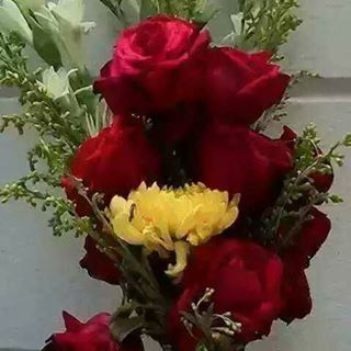 Profile Picture of MD Rasel Kial (@mdrasel.kial) on Facebook