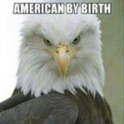 Profile Picture of Brice Stroneski (@@Brice57) on Twitter