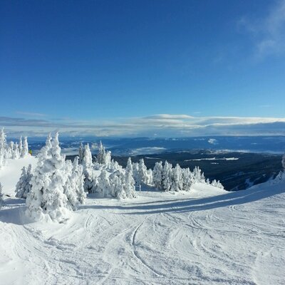 Profile Picture of Jason Melnyk (@JoeBoo3417) on Twitter