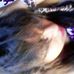 Profile Picture of Nancy Tiger (@nancy.tiger.18) on Facebook