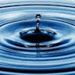 Profile Picture of Stanley Tseng (@stantsengley) on Pinterest