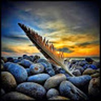 Profile Picture of Tamara J. Cardinal (@tamara-j-cardinal-1) on Quora