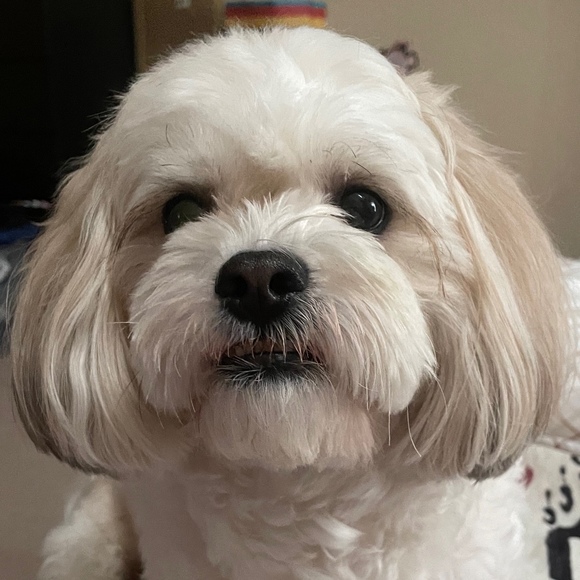 Profile Picture of Jocelyn Beltran (@uno143) on Poshmark