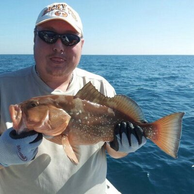 Profile Picture of John Pellicer (@Jchris721) on Twitter