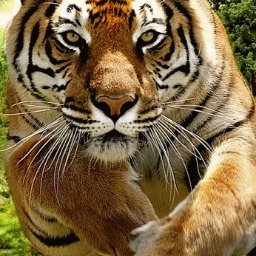 Profile Picture of Thyagaraju (@thyagarajutwit) on Twitter