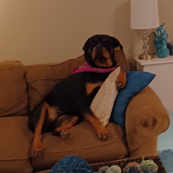 Holly Greving - Poshmark Profile Picture of Holly Greving (@holly_grev) on Poshmark