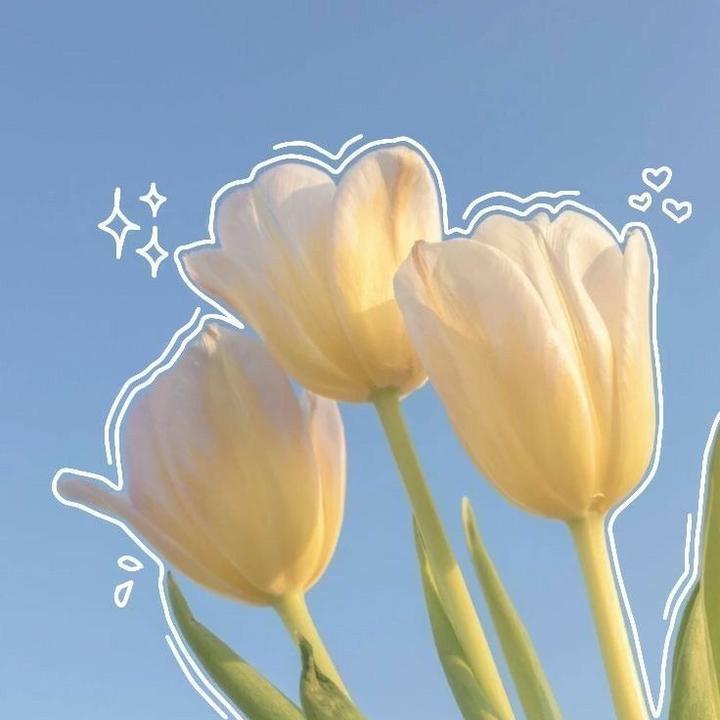 Profile Picture of M A R T H A🌷 (@martha.hair) on Tiktok