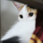 Profile Picture of Engin Oruc Ozturk (@enobil) on Flickr