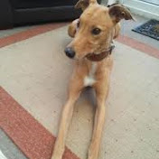 Profile Picture of Kathryn Thornton (@kathrynthornton6882) on Youtube