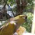 Profile Picture of Daniel Peral (@daniel.peral.73) on Facebook