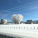 Profile Picture of K.Ondler (@monkeyondler) on Instagram