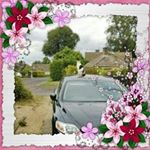 Profile Picture of Susan Knapp (@rubyjoancook) on Instagram