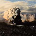 Profile Picture of Nigel Pitt (@5944) on Flickr