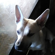 Profile Picture of Jason Spraggins (@jasonspraggins5157) on Youtube