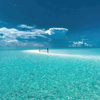 Profile Picture of Erik Alicea (@aliceaerik) on Instagram