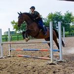 𝙁𝙧𝙖𝙣𝙘𝙚𝙨𝙘𝙖 𝙁𝙤𝙨𝙩𝙚𝙧 - Instagram Profile Picture of 𝙁𝙧𝙖𝙣𝙘𝙚𝙨𝙘𝙖 𝙁𝙤𝙨𝙩𝙚𝙧 (@francescafoster) on Instagram