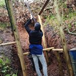 Profile Picture of George Horton (@horton281) on Instagram