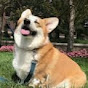 Profile Picture of Edith Freeman (@@pongabear627) on Tiktok