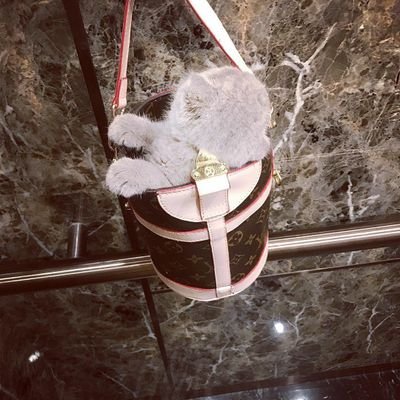 Profile Picture of Wik_bi (@DavidAnggono) on Twitter