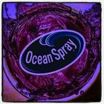 Profile Picture of Sean O'Kelley (@sean.okelley) on Instagram