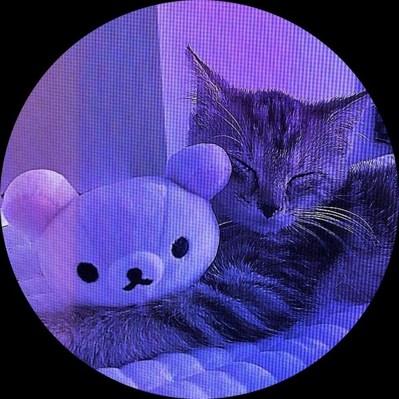 Profile Picture of Lexi Pharmer (@leacios) on Poshmark