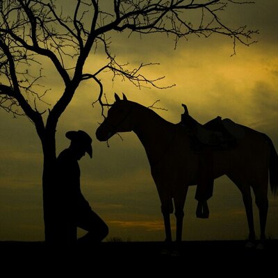 Profile Picture of DanMac (@gojunebug) on Twitter