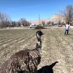 Profile Picture of Cody (@cody__macks) on Instagram