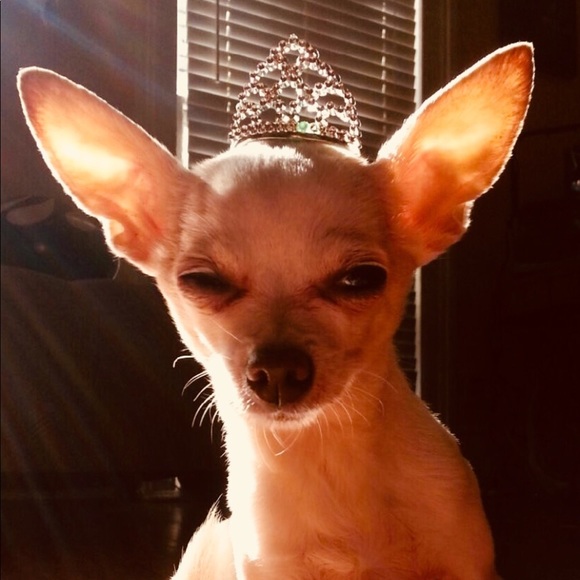 Profile Picture of Wade Malwitz (@bigcedarphoto) on Poshmark