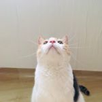 Profile Picture of ෆ 2021 수석 합격 ෆ (@claire_engt) on Instagram