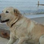 Profile Picture of Scott Nystrom (@nyst44) on Instagram