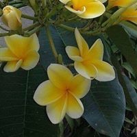 Profile Picture of Catherine Franks (@catherine-franks-2) on Quora