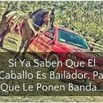 Profile Picture of jared gullermo carbaja miranda (@jaredgullermocarbaja) on Instagram