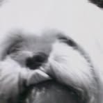 Profile Picture of Kim Pfanenstiel (@kpfanenstiel1) on Facebook