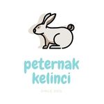 Profile Picture of Peternak Kelinci semarang (@peternak_kelinci.semarang) on Instagram