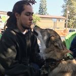 Profile Picture of Chris Holliday (@chriscuck_) on Instagram