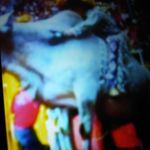 Profile Picture of Ismael Ugalde (@ismael.ugalde.587) on Instagram