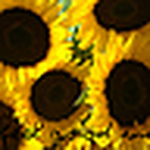 Profile Picture of Jennifervieve (@jennifervieve) on Flickr