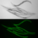 Profile Picture of Daniel Choi (@cys920622) on Flickr