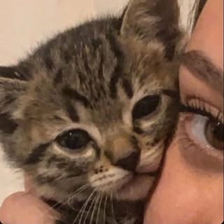 Profile Picture of fym! (@mayahacker_) on Instagram