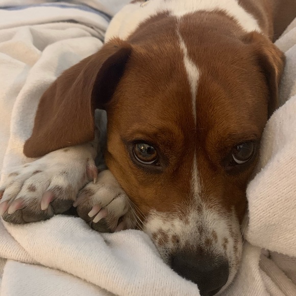 Profile Picture of Andrew Causey (@andrewcausey) on Poshmark